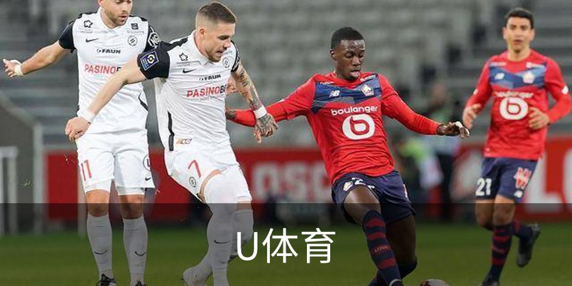 关于U体育